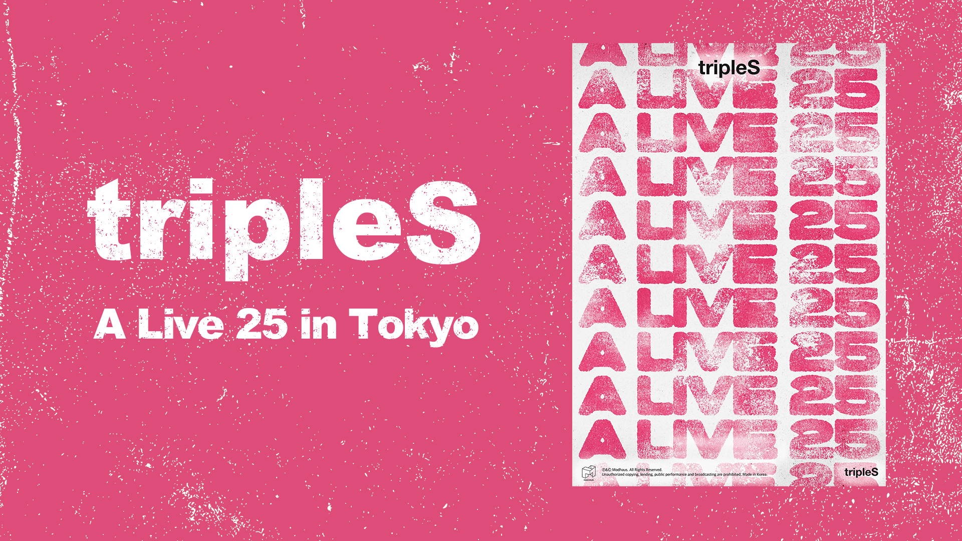 tripleS A Live 25 VIP AA330 ニエン Objekt g6CXbpSJYvRNveGMfuSCgt
